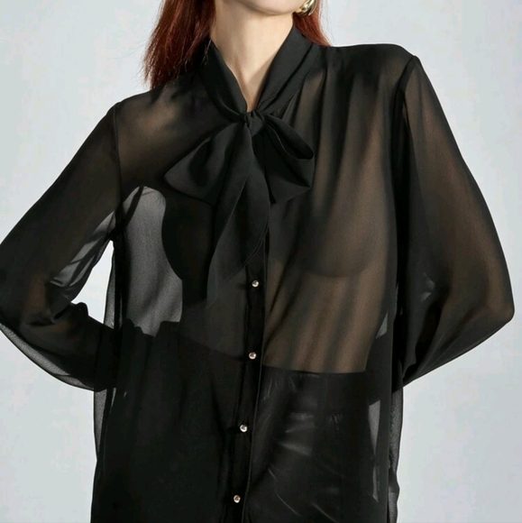 Minimalist Semi-Sheer V-Neck Tie Collar Ribbon Button Down Long Sleeve Blouse - Picture 2 of 5